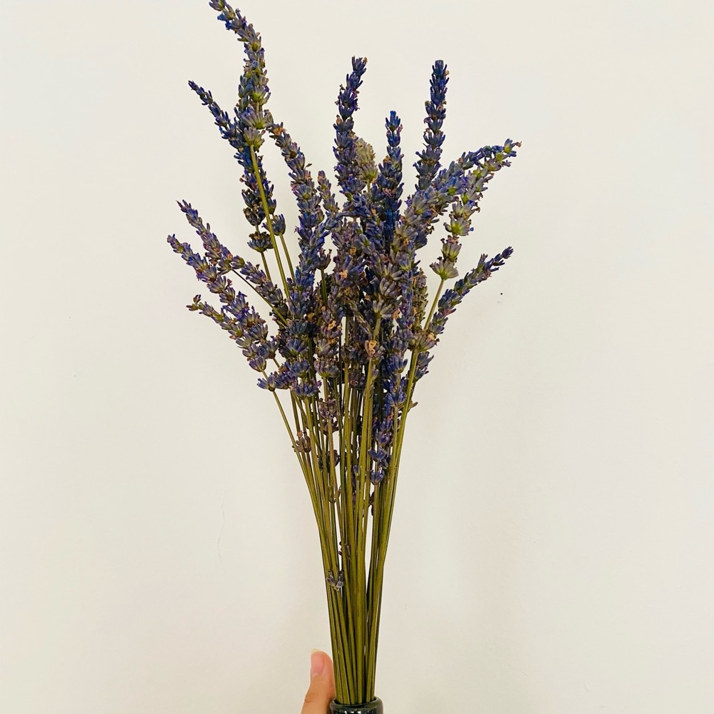 Medium Dried Lavender Bundle